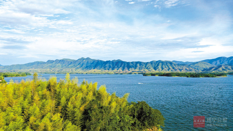 陸水湖中覓清涼