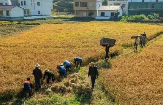 W020181127421976527954.jpg 3