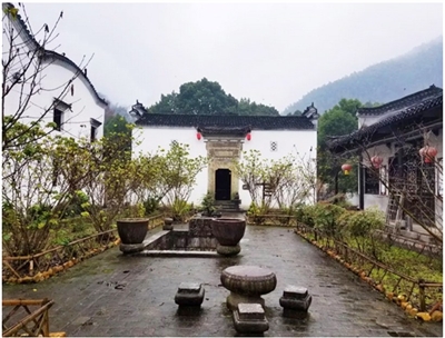 W020181218371094405183.jpg 3