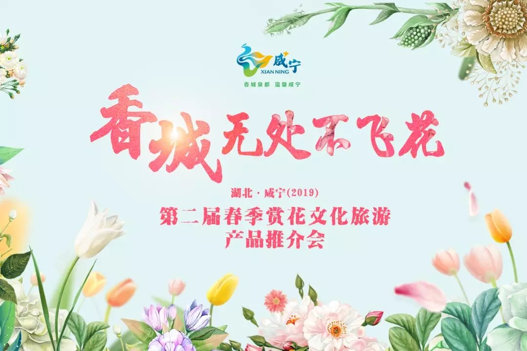 春季賞花.webp.jpg 春季賞花.webp.jpg