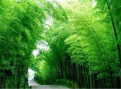 res13_attpic_brief.jpg res13_attpic_brief.jpg