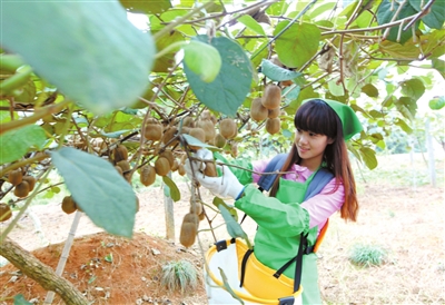 咸寧特色產品好在哪里·赤壁篇