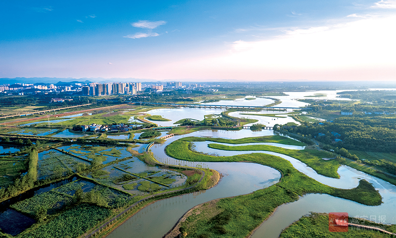 咸寧市大州湖濕地公園 朱懷光攝 2022.6.25..jpg8.jpg