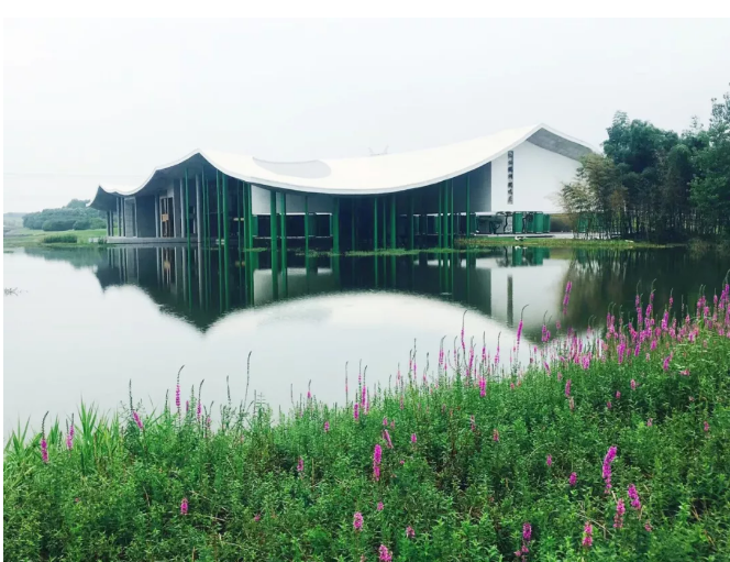 圖片11.png 圖片11.png